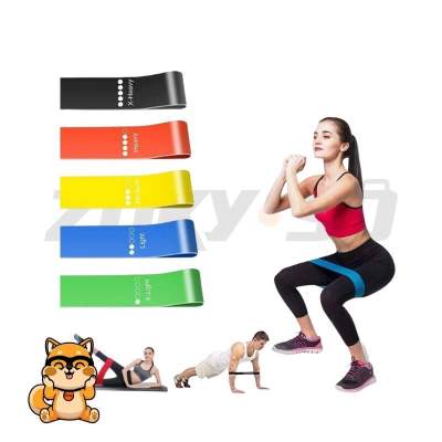 Bandas de ejercicio x 5